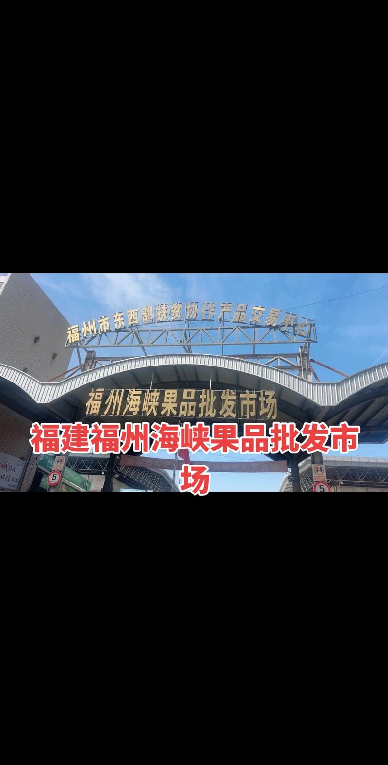 福州商贸公司：新机遇下的市场动态